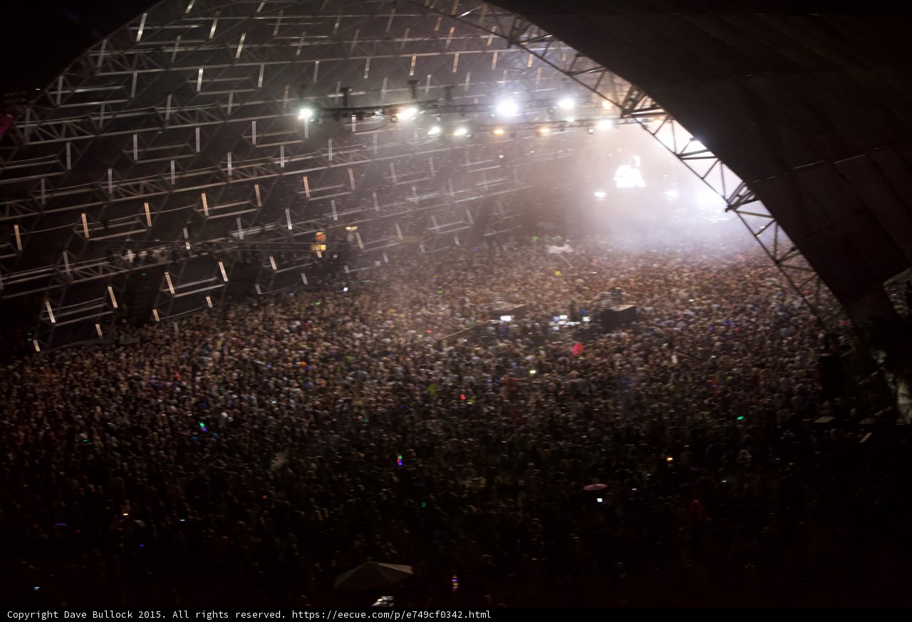 Electric Crowd at Coachella