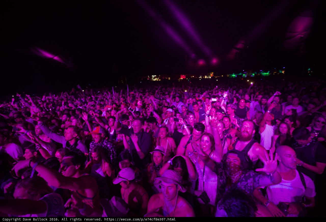 Electric Nightlife at Coachella