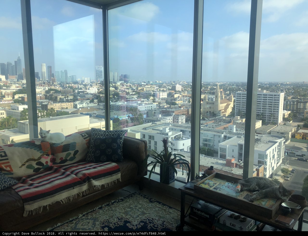 City Living Room Views