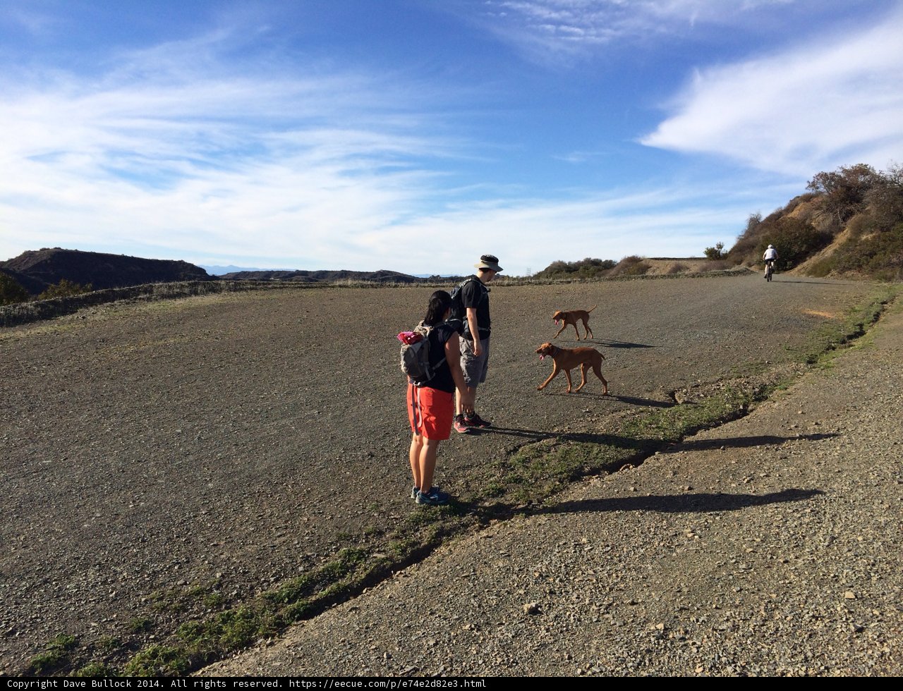 Man and Two Dogs Hiking on a Dirt Road in Westridge-Canyonback Wilderness Park