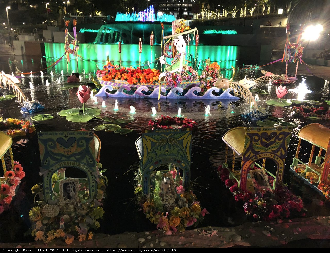 A Serene Float of Flowers and Fountain
