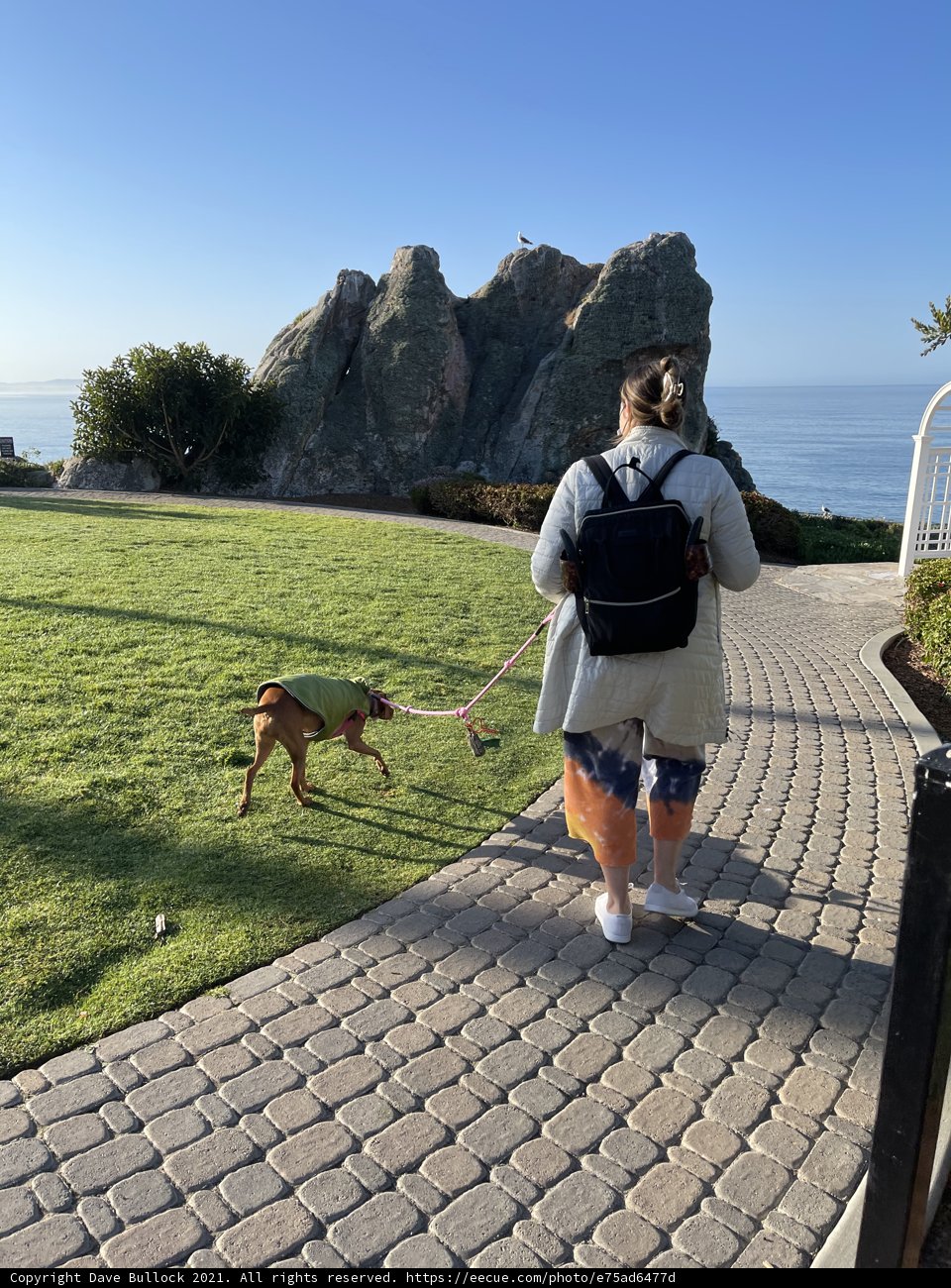 Coastal Walk with Furry Friend