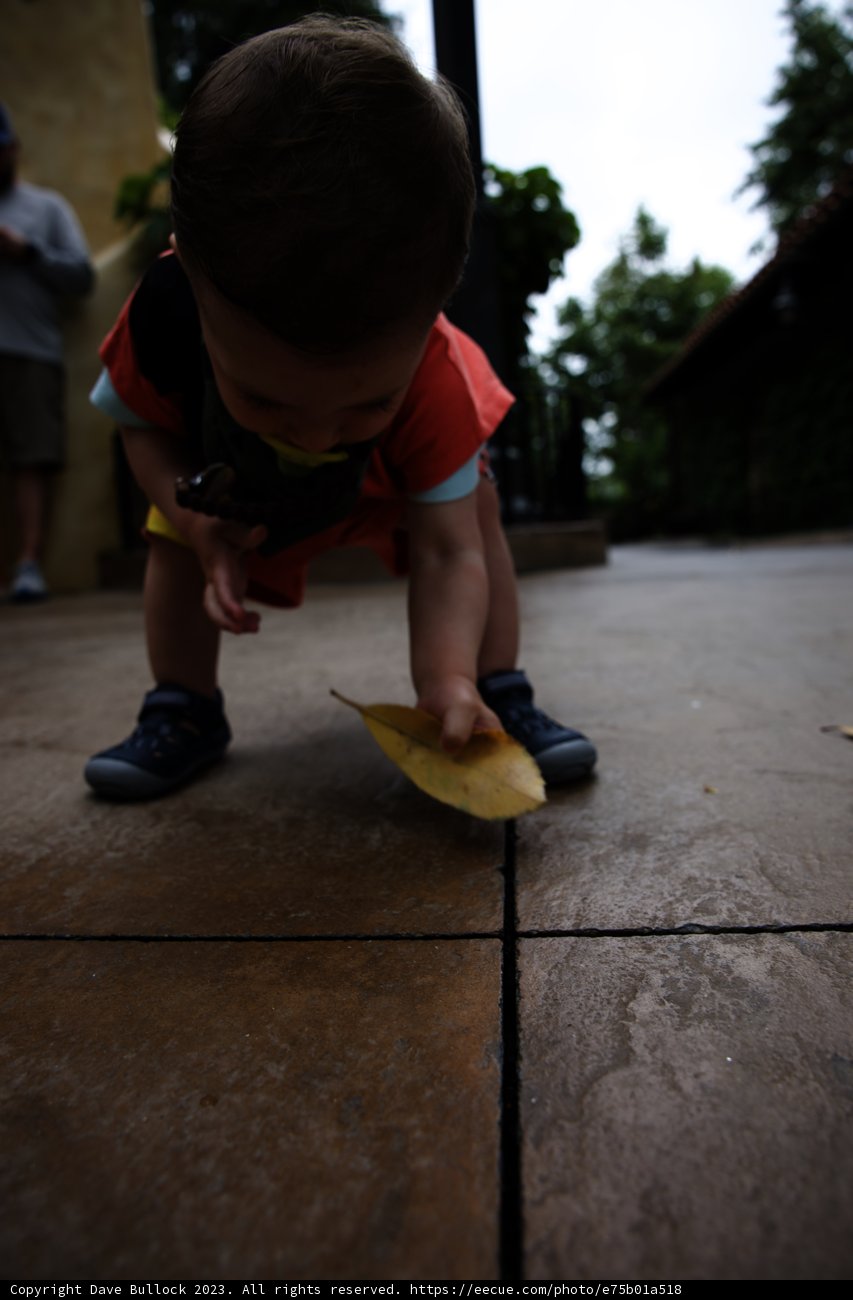 Banana Peel Adventure at Disneyland
