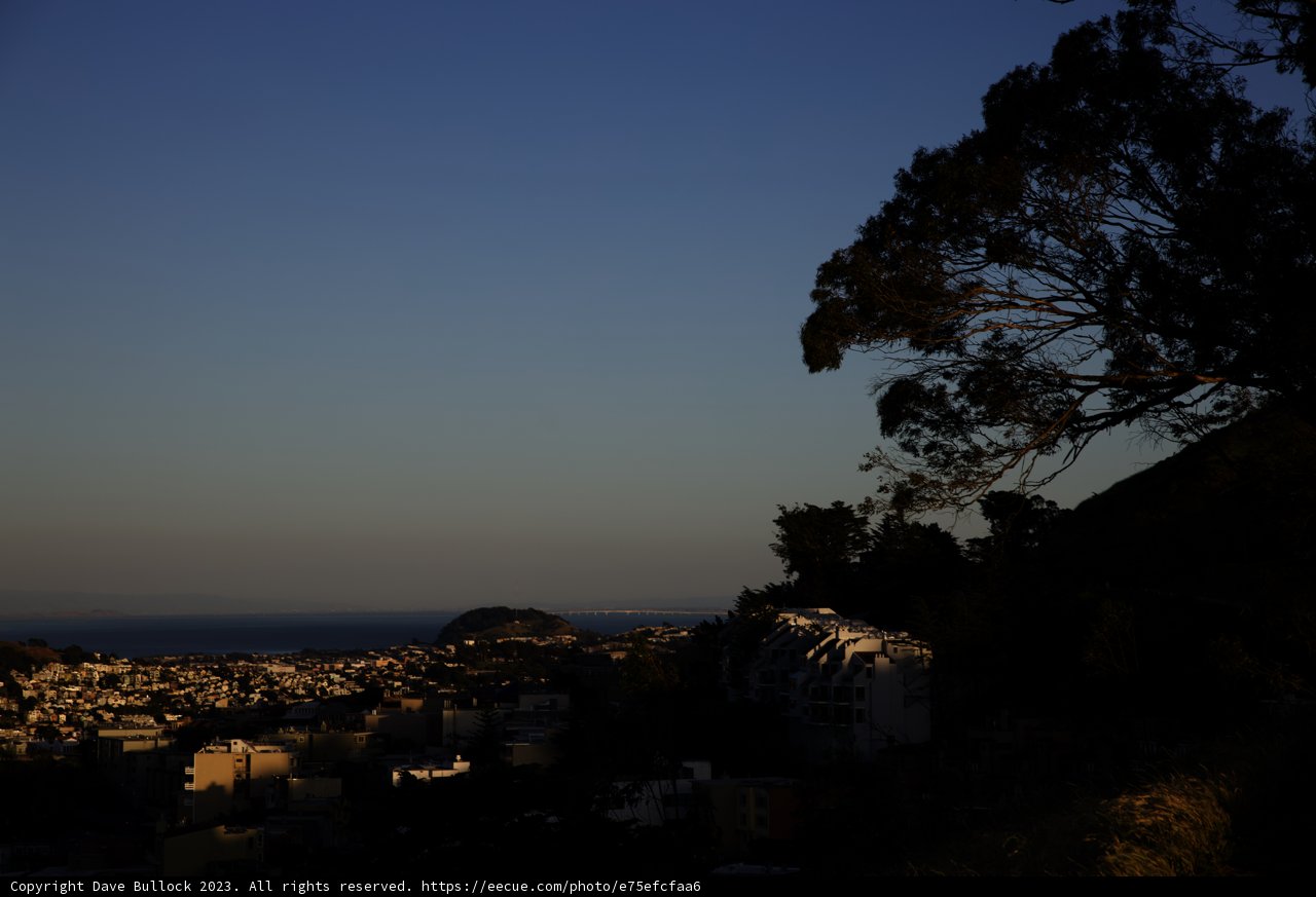 Urban Oasis: A Hillside Perspective