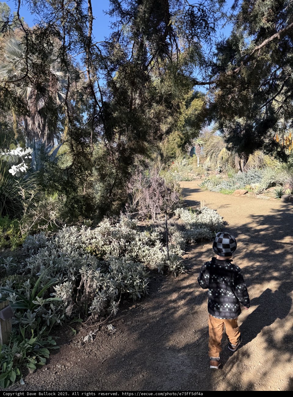 Stroll Through Nature's Wonderland