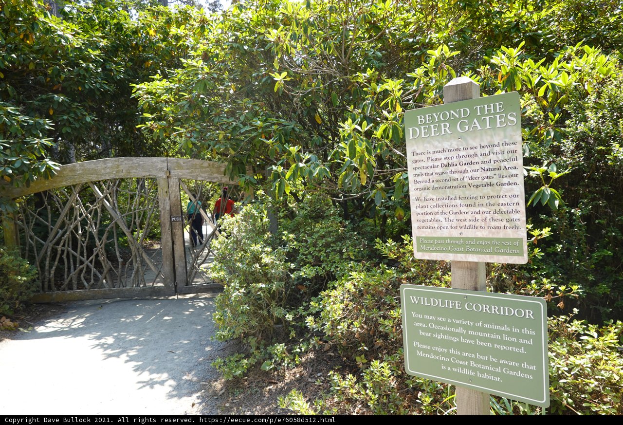 Nature's Pathway