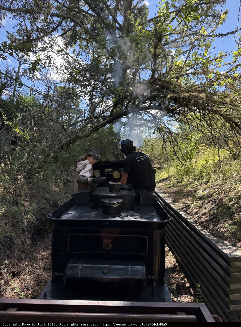 Steam-Powered Adventure