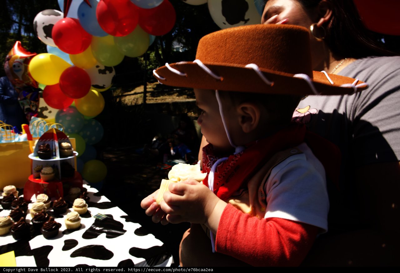 First Rodeo: Wesley's 1st Birthday Celebration