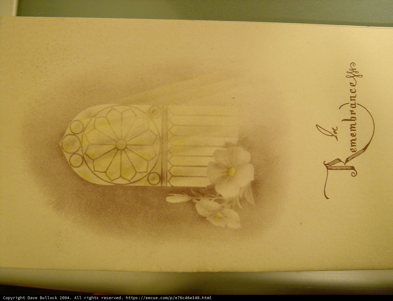A Beautiful Card with a Flower and Bird Drawing