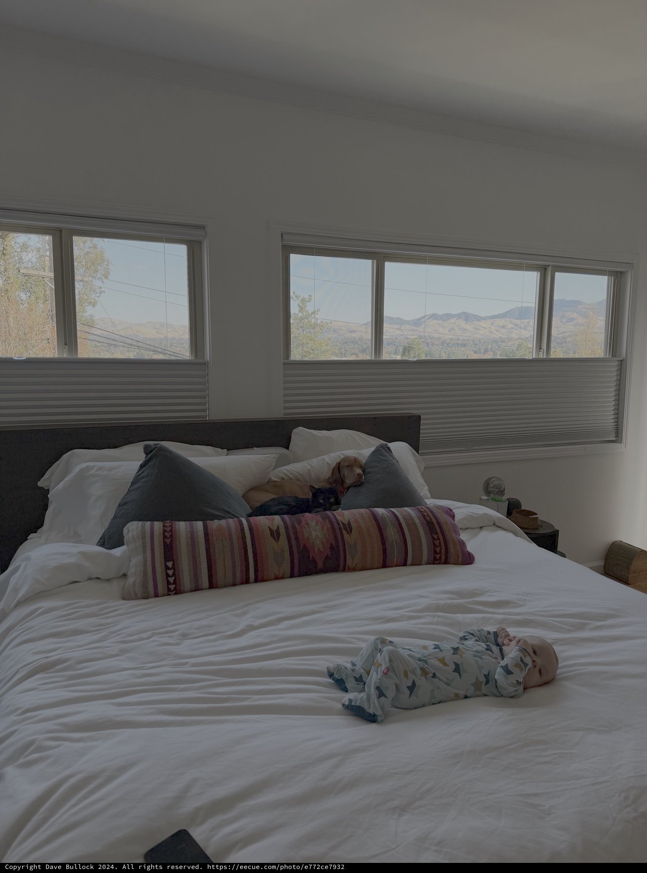Family Morning in Mountain View Bedroom