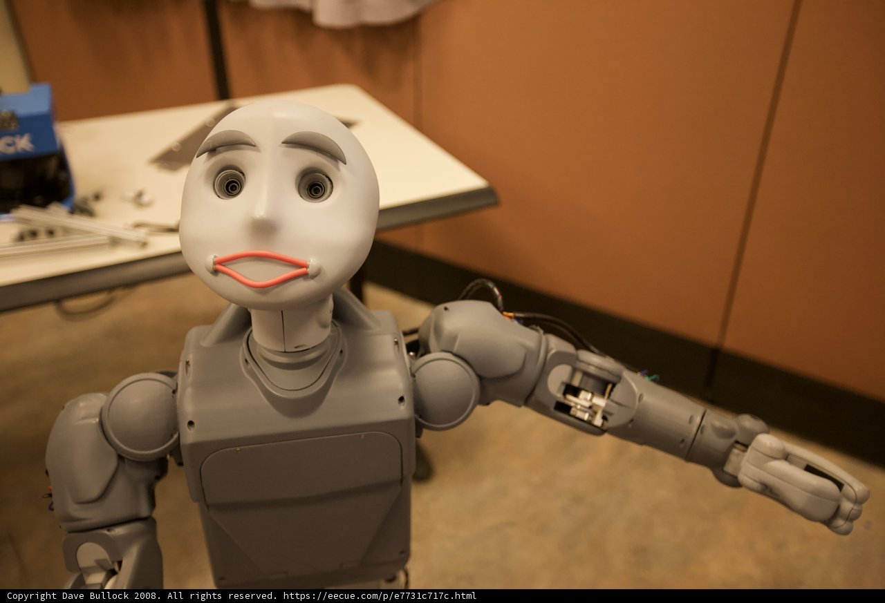 Robotic Playmate