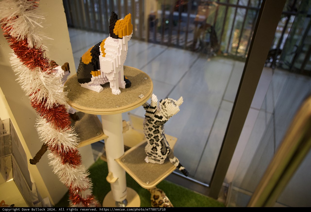 Furry Festivity in Korea