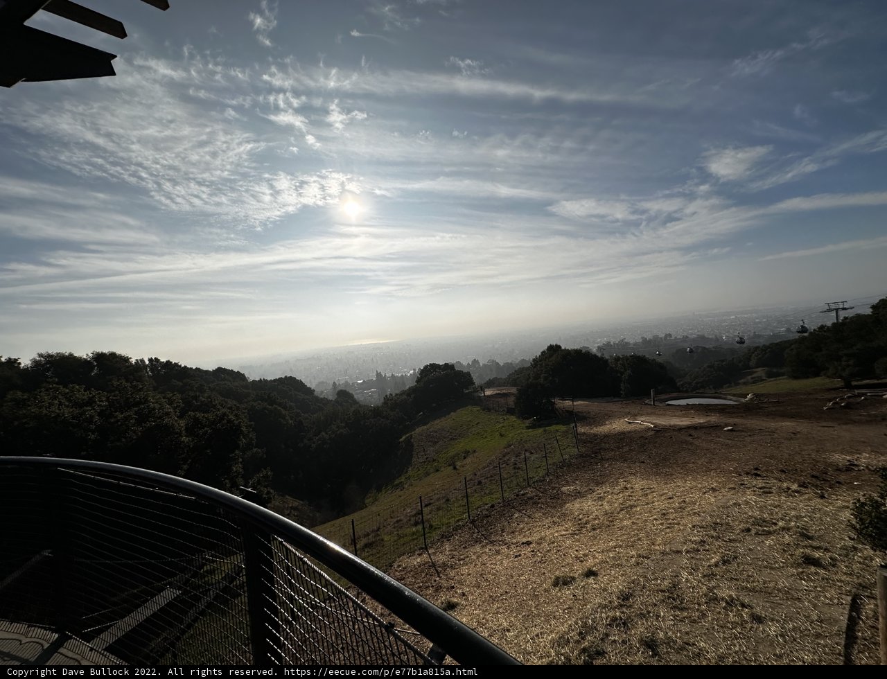 Sunlit Hillside at Oakland Zoo