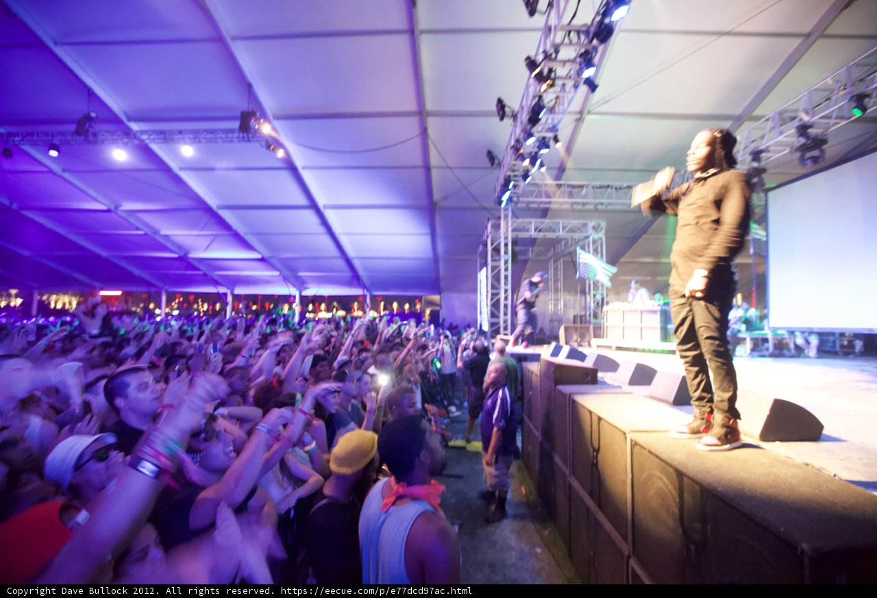 Urban Concert Crowd