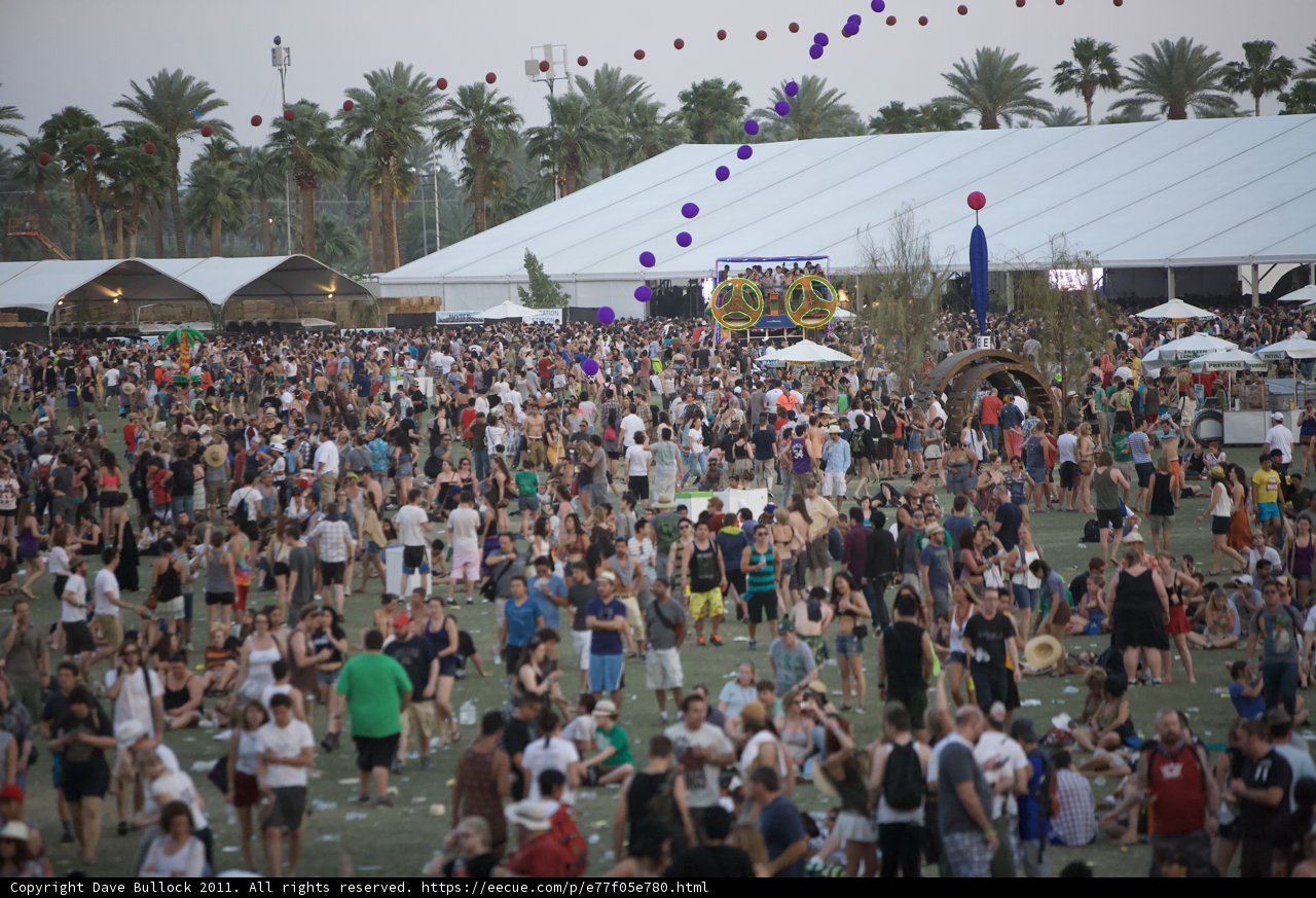 Festival Frenzy