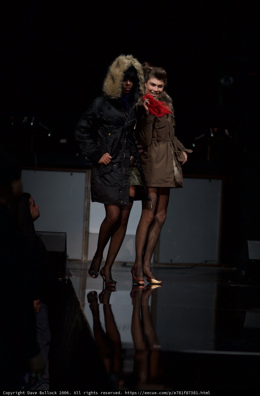 Runway Fashionistas