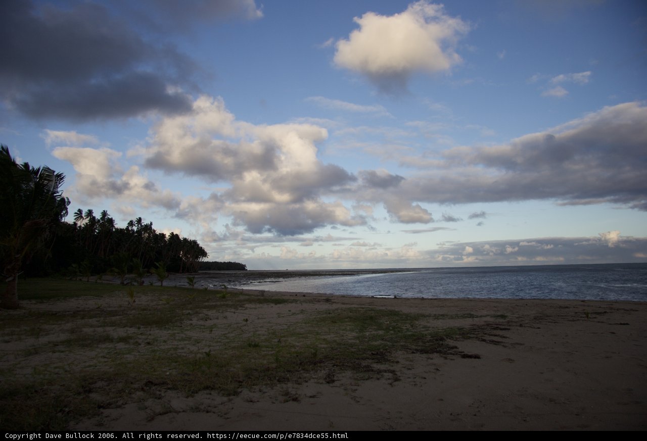 Serene Beachscape