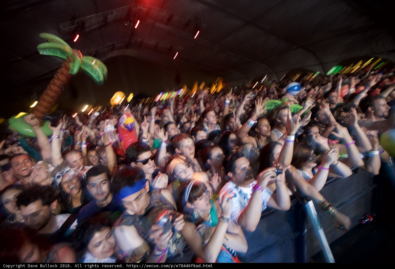 Cochella Craze
