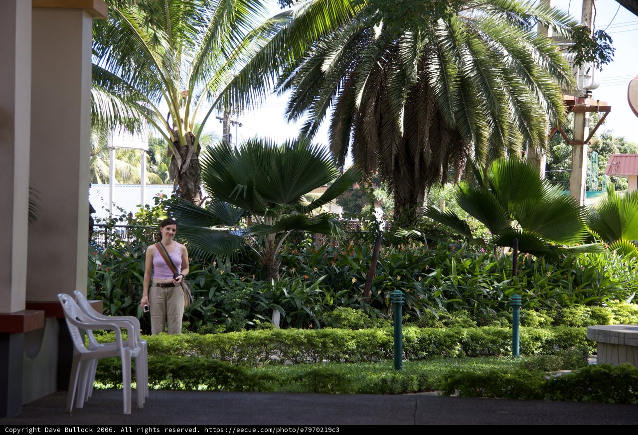 Summer Serenity in a Tropical Setting