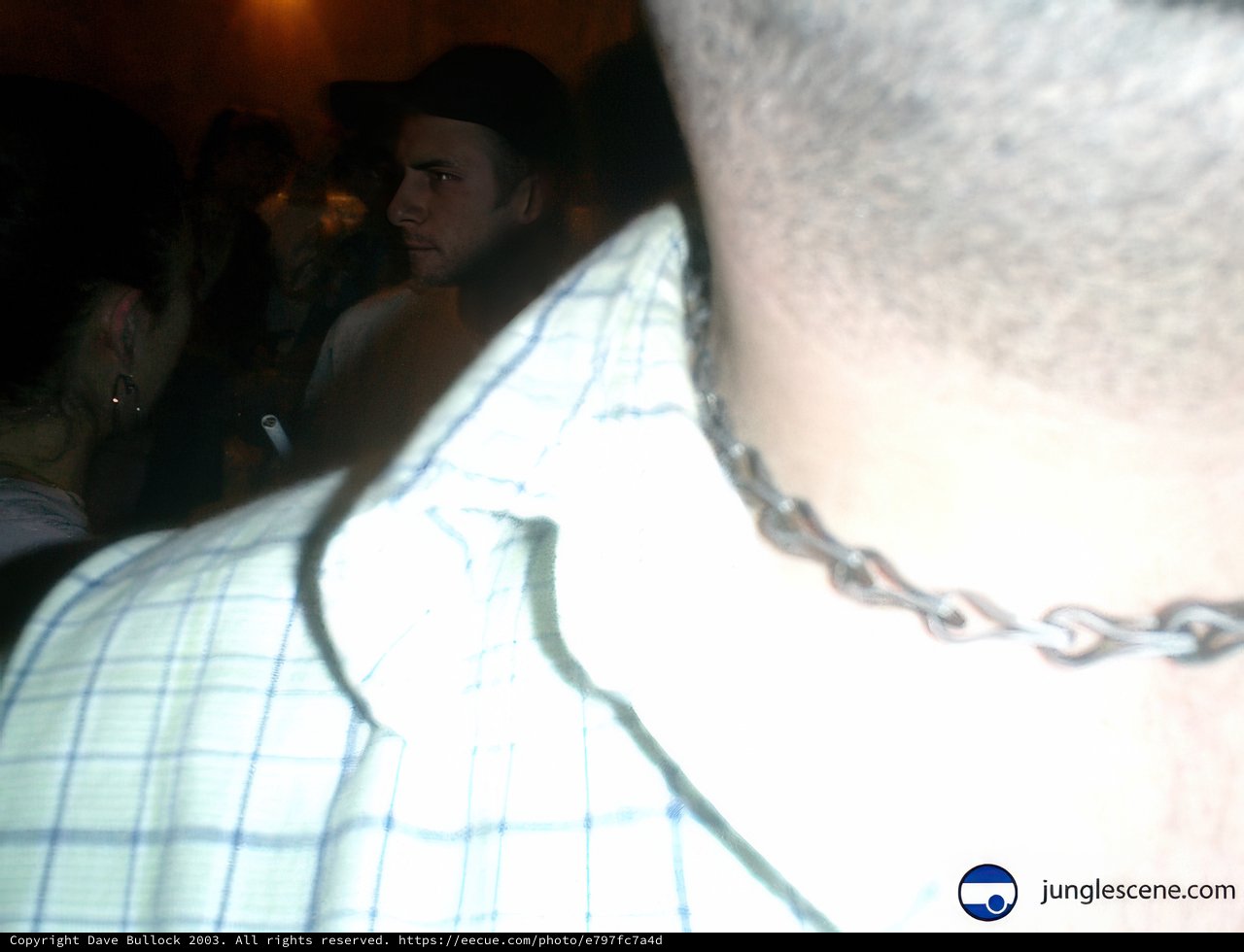 Chain Necklace-wearing Men and Women at Night Club