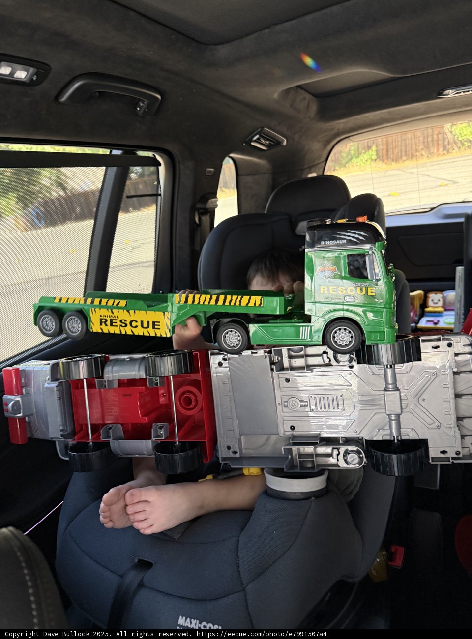 Young Explorer's Road Adventure
