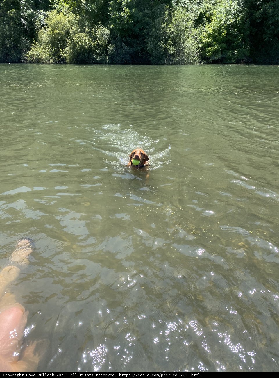 Fun in the Sun