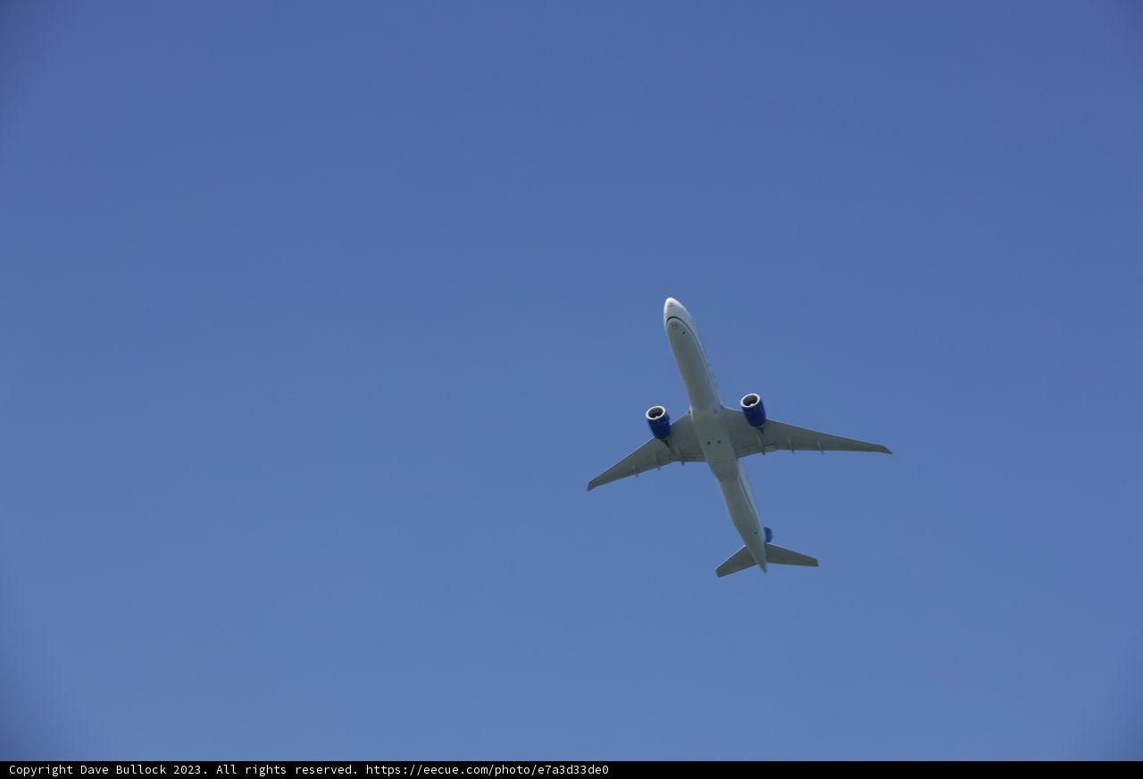 Soaring Giant in the Blue Expanse