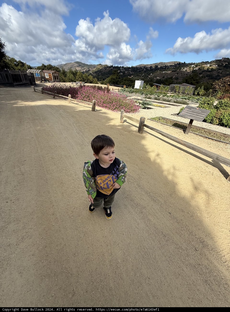 Strolling Through Serenity