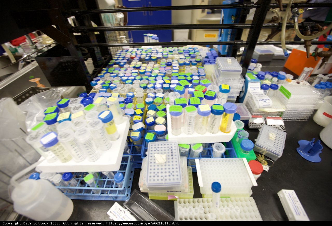 Inside the Biotech Lab at UCLA