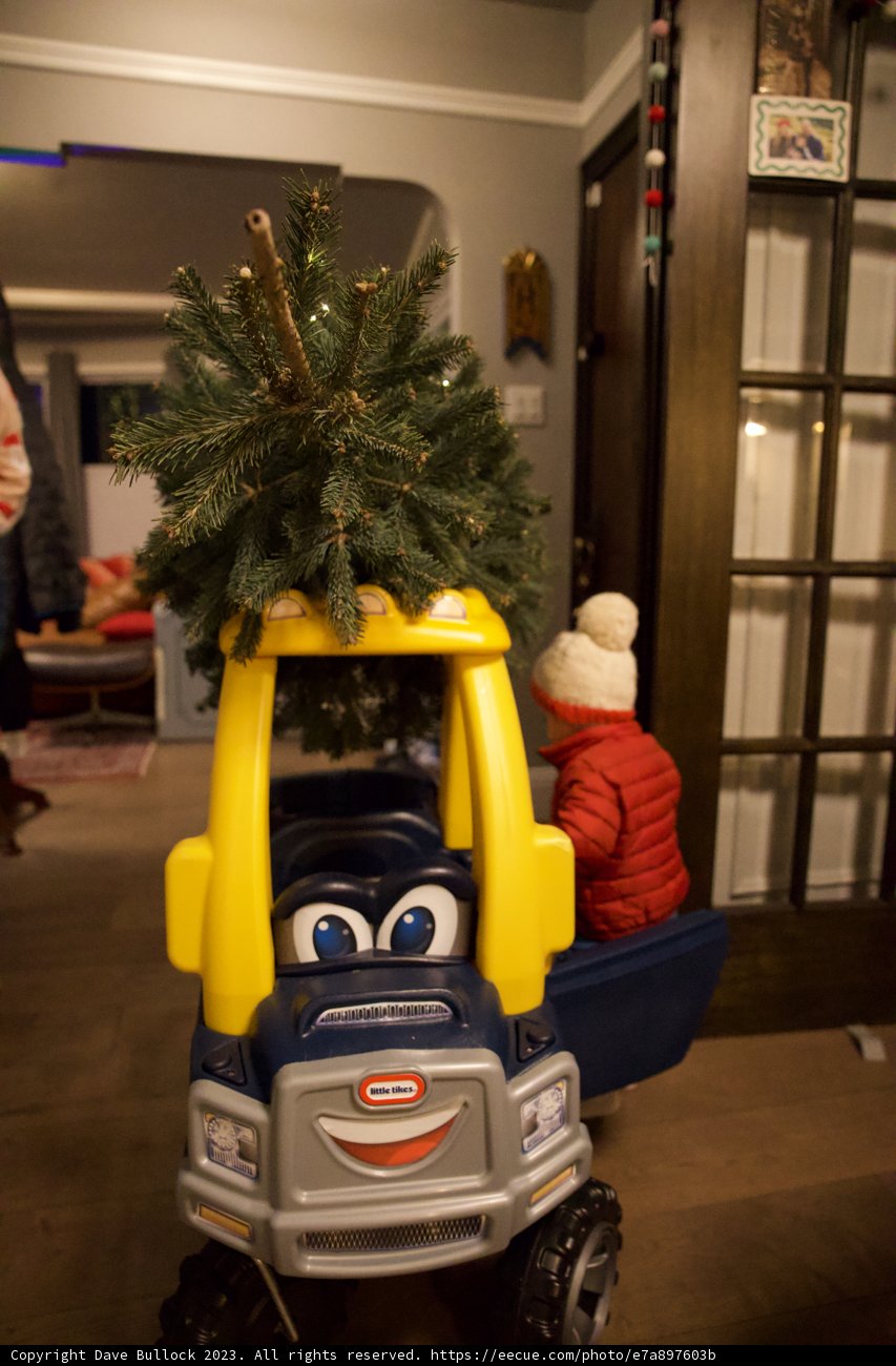 Wesley's Miniature Christmas Adventure