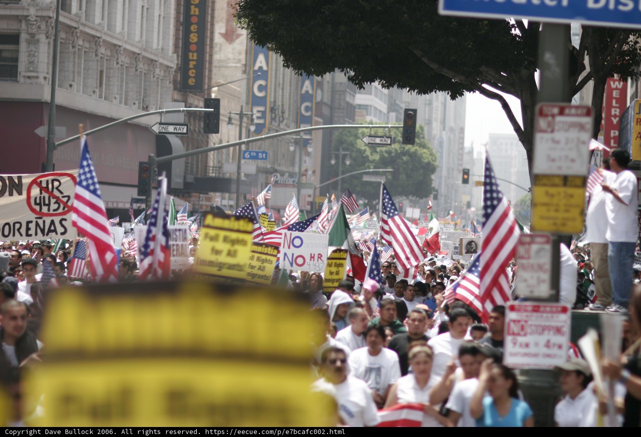 Patriotic Gathering in the Metropolis