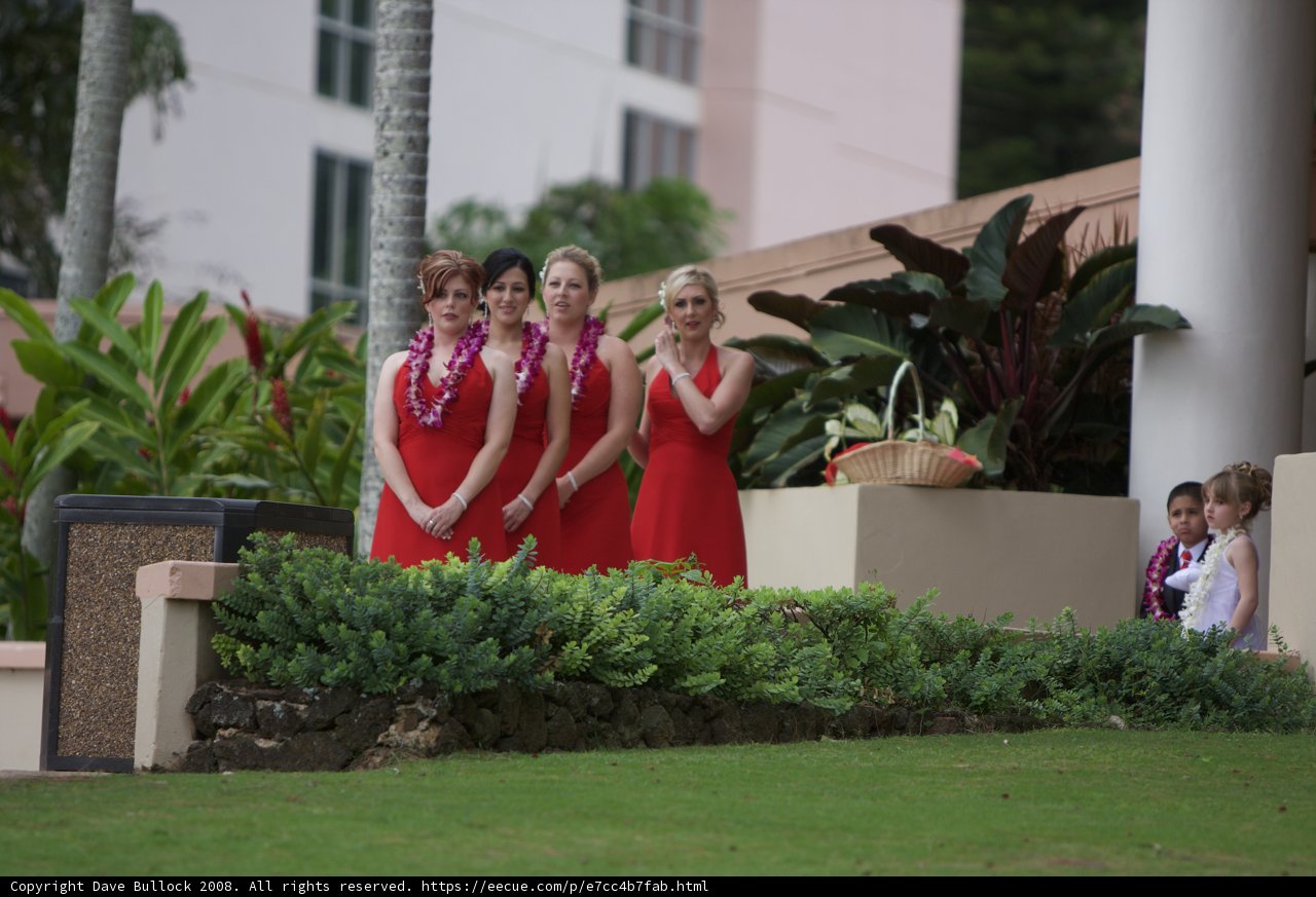Hawaiian Wedding Belles