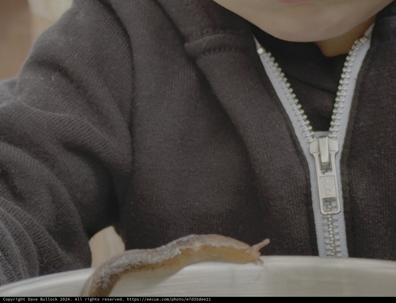 Close-up of Person Eating Creamy Dessert
