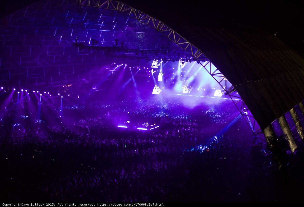 Purple Haze