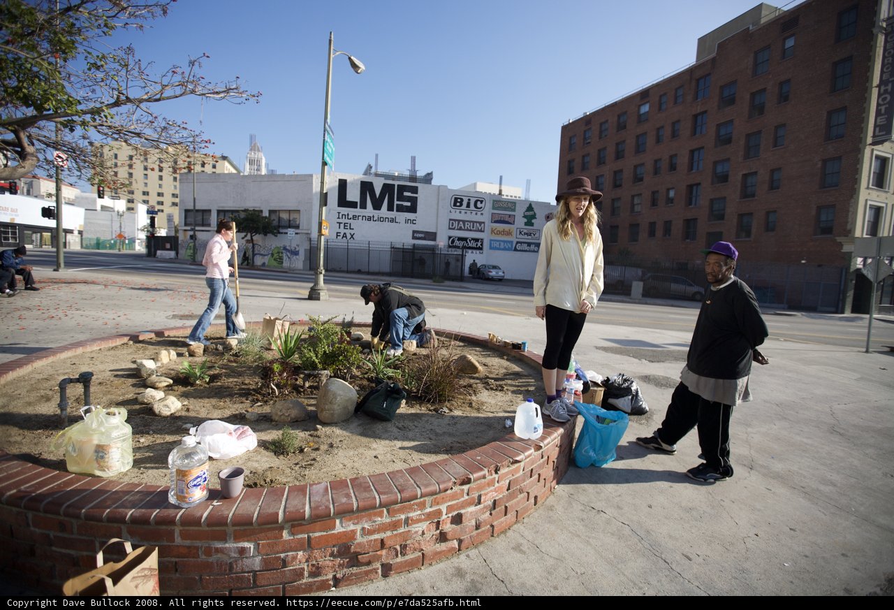 Guerilla Gardening: City Sidewalk Beautification