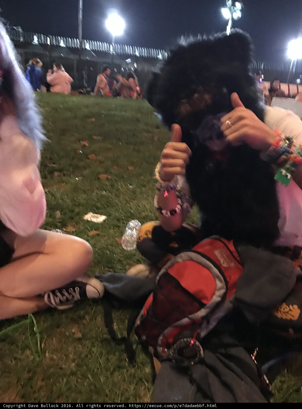 Hands Up in the Grass