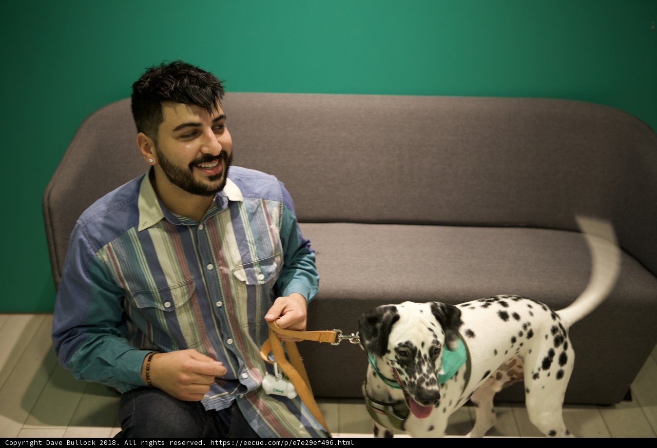 Man and Dalmatian on the Couch