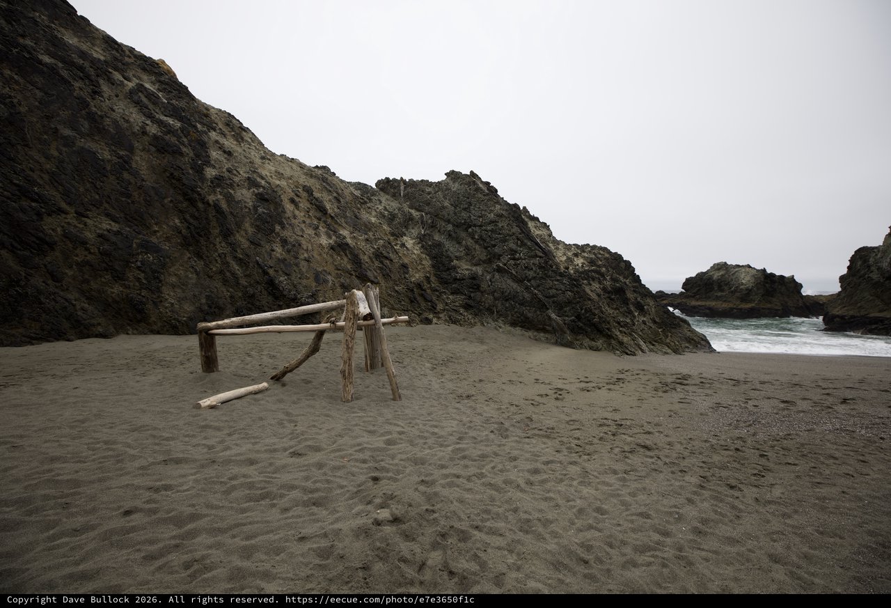 Driftwood Sculpture on Foggy Northern California Beach