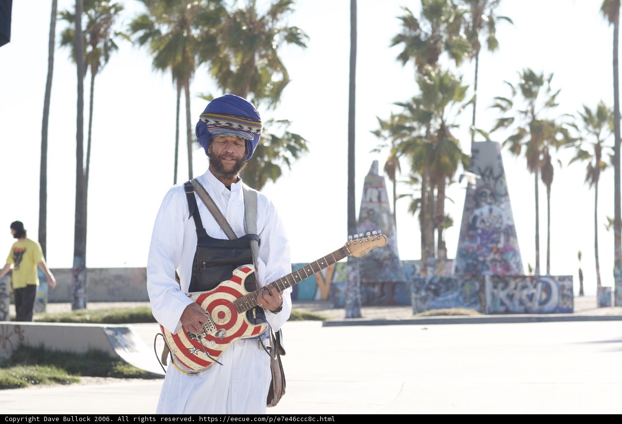 Guitar Serenade Under the Palm Tree