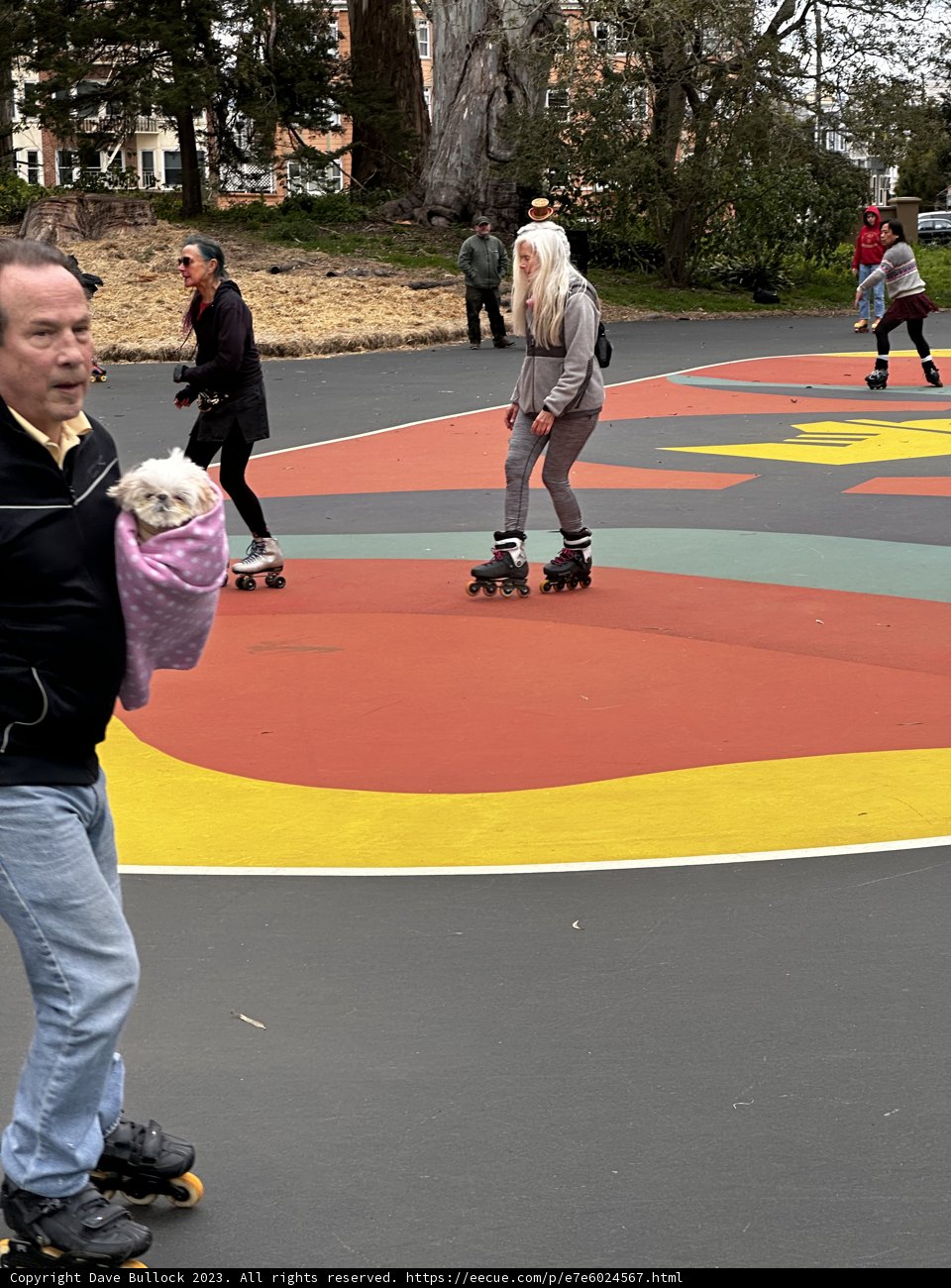 Rollerblading in Golden Gate Park