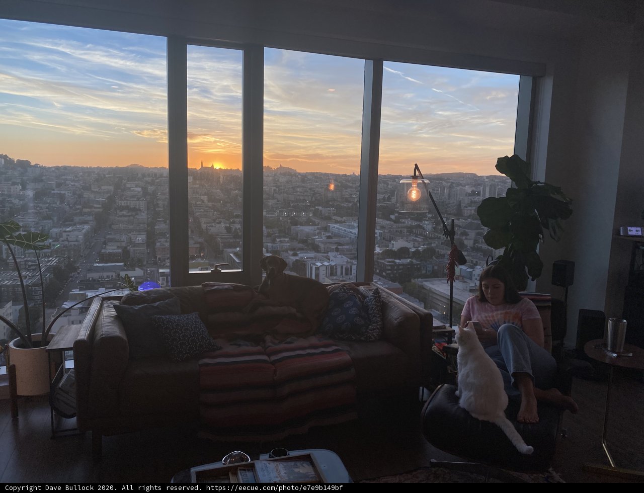 Urban Living in San Francisco