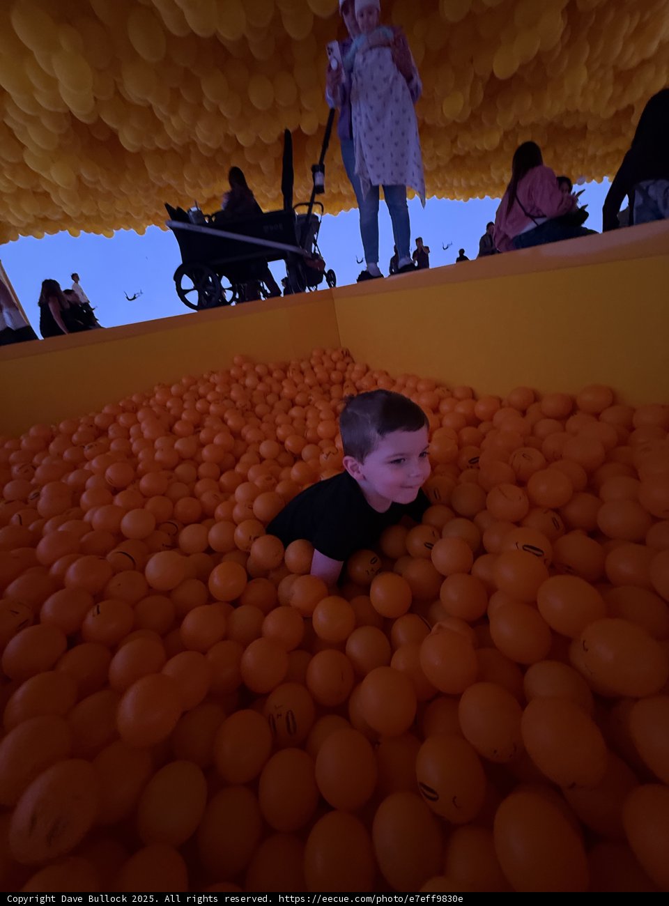 Orange Bliss at the Palace