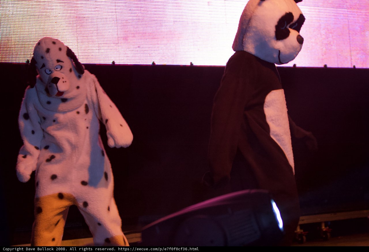 Panda and Dog Take Coachella by Storm