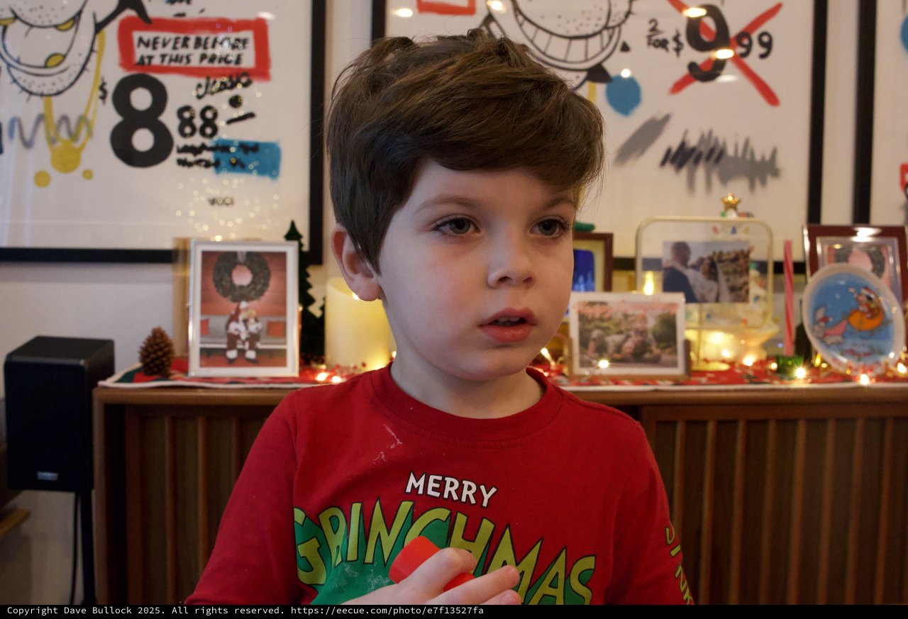 Young Child in Festive Grinchmas Sweater at Christmas