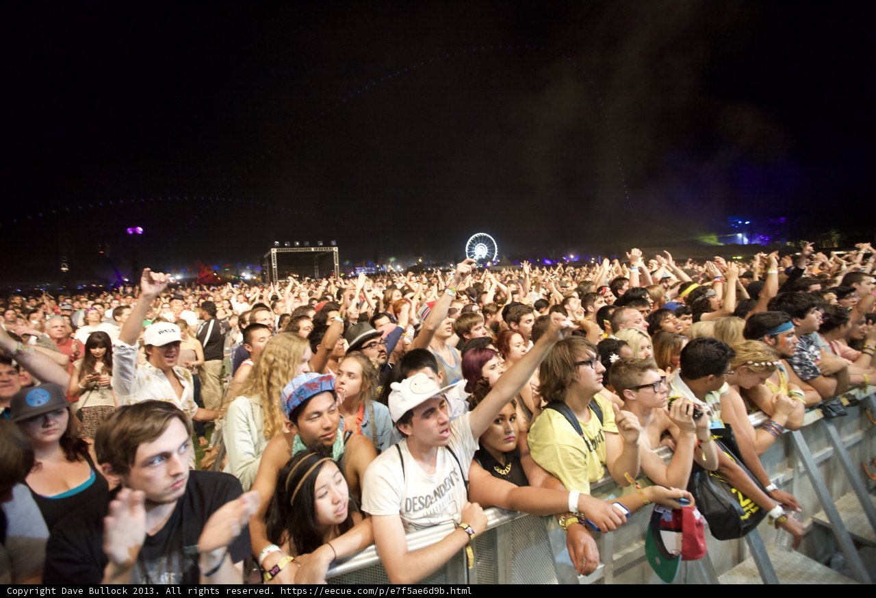 Music Festival Madness