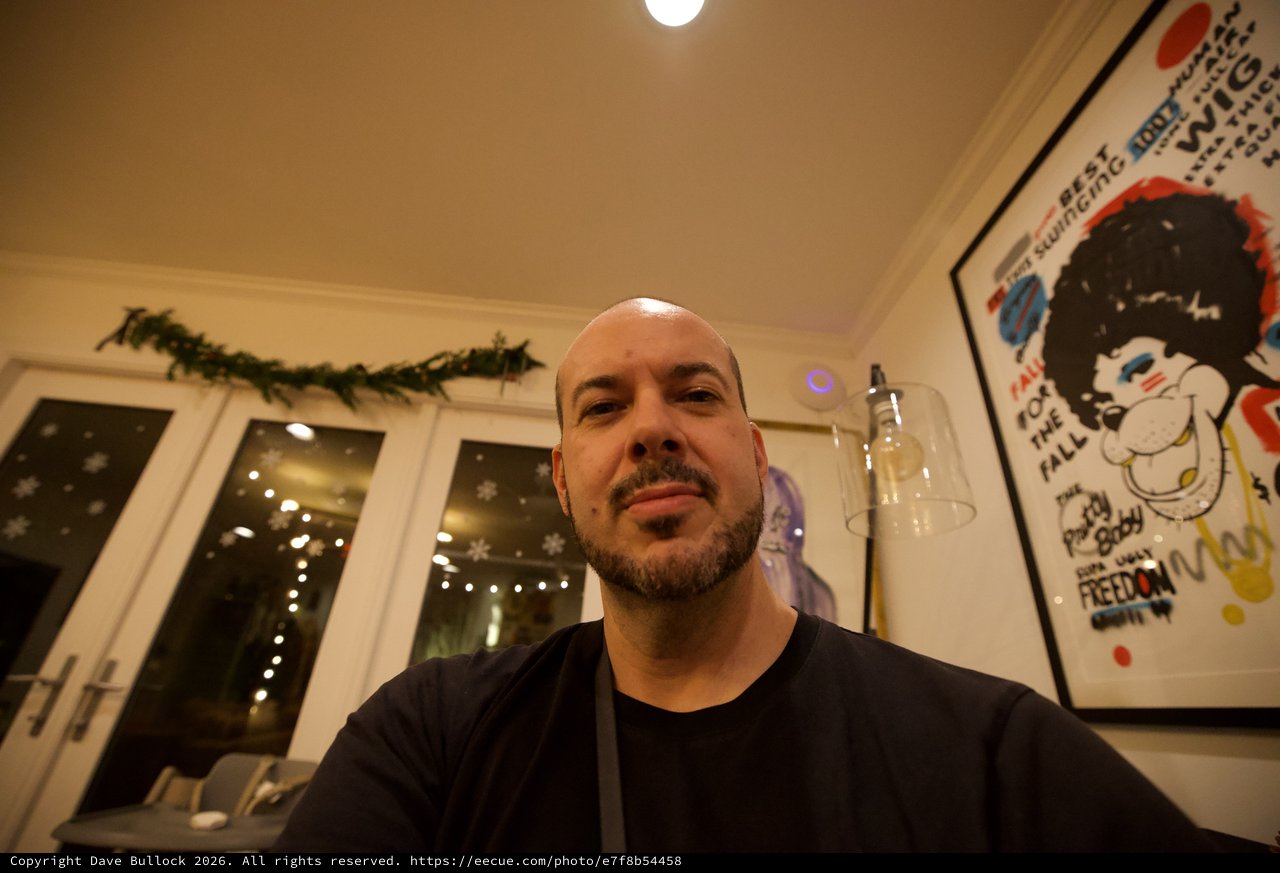 Evening Self-Portrait in Modern Kitchen with Holiday Decor