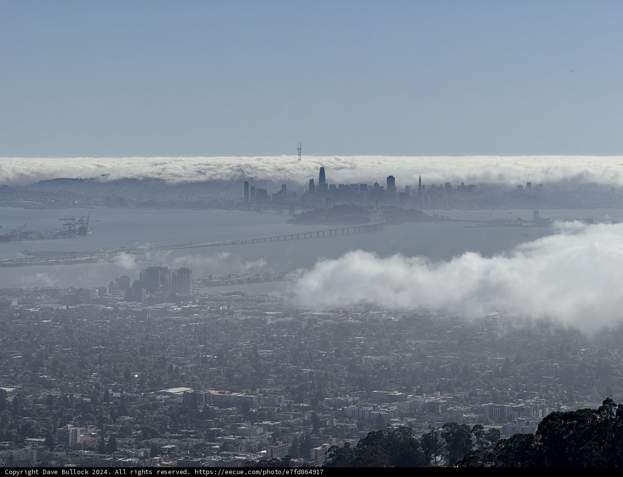 Fog Embrace Over the Bay