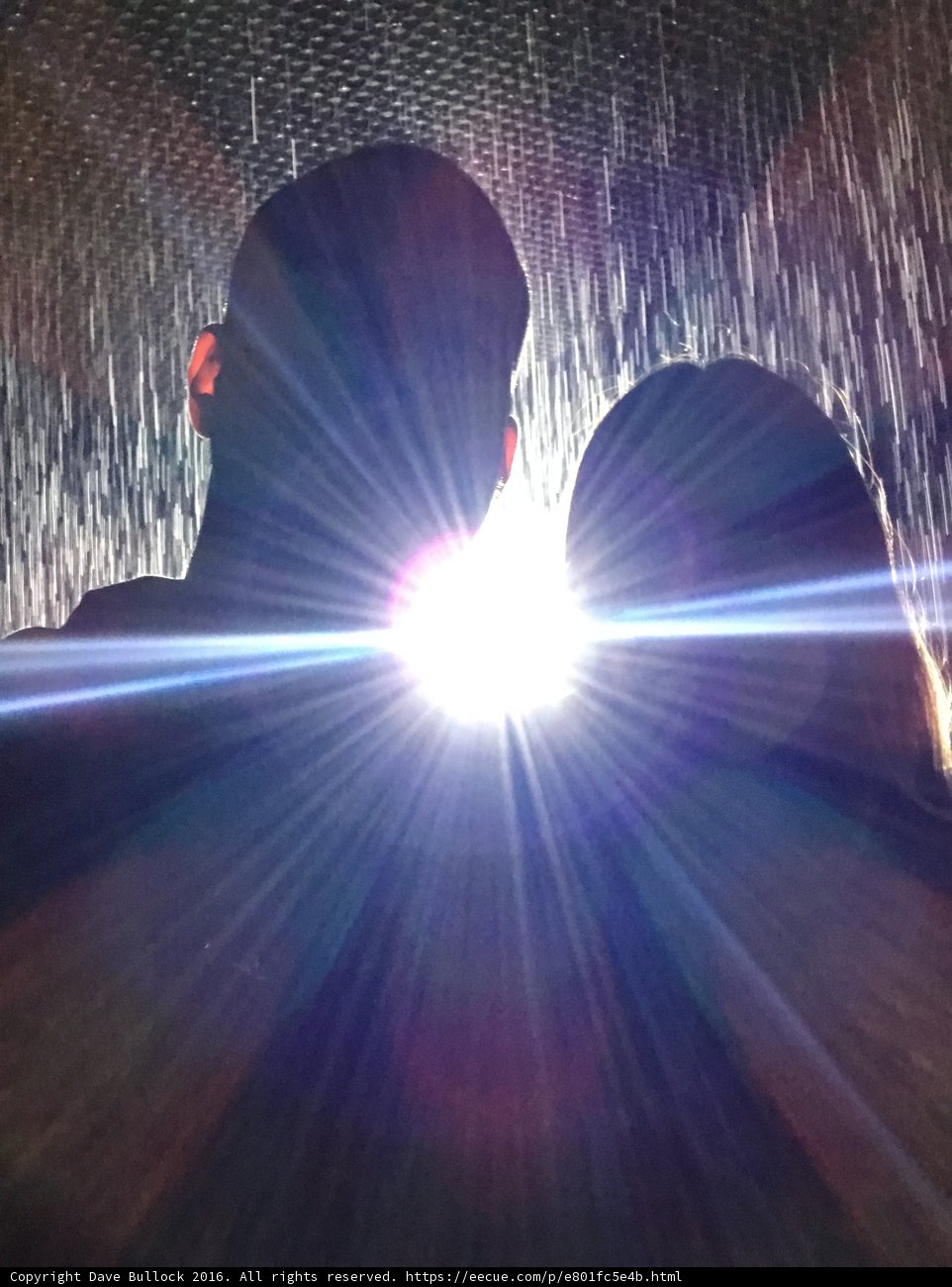 Into the Light