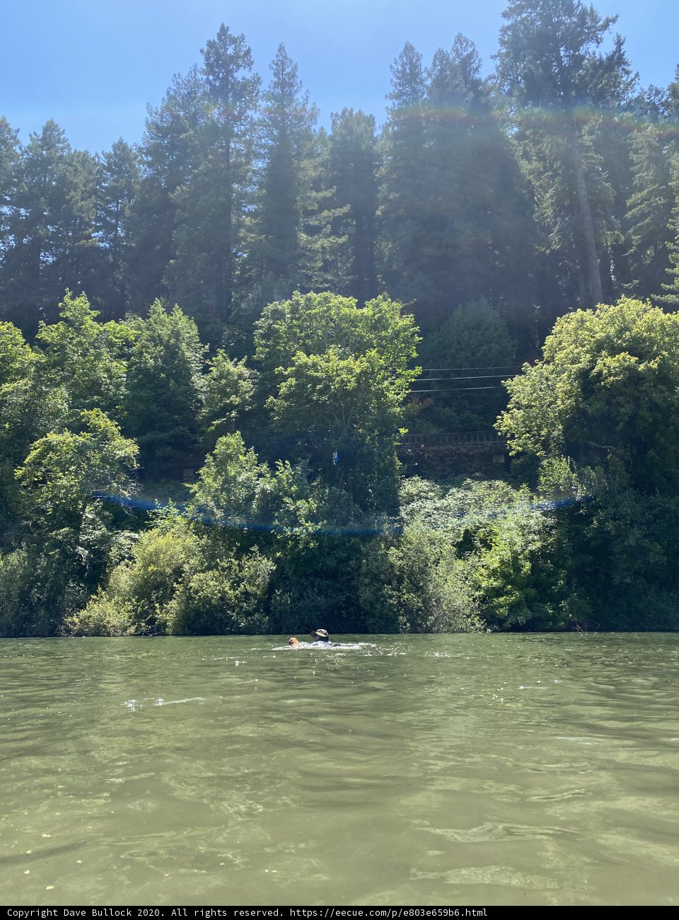 Serene Kayaking in the Russian River