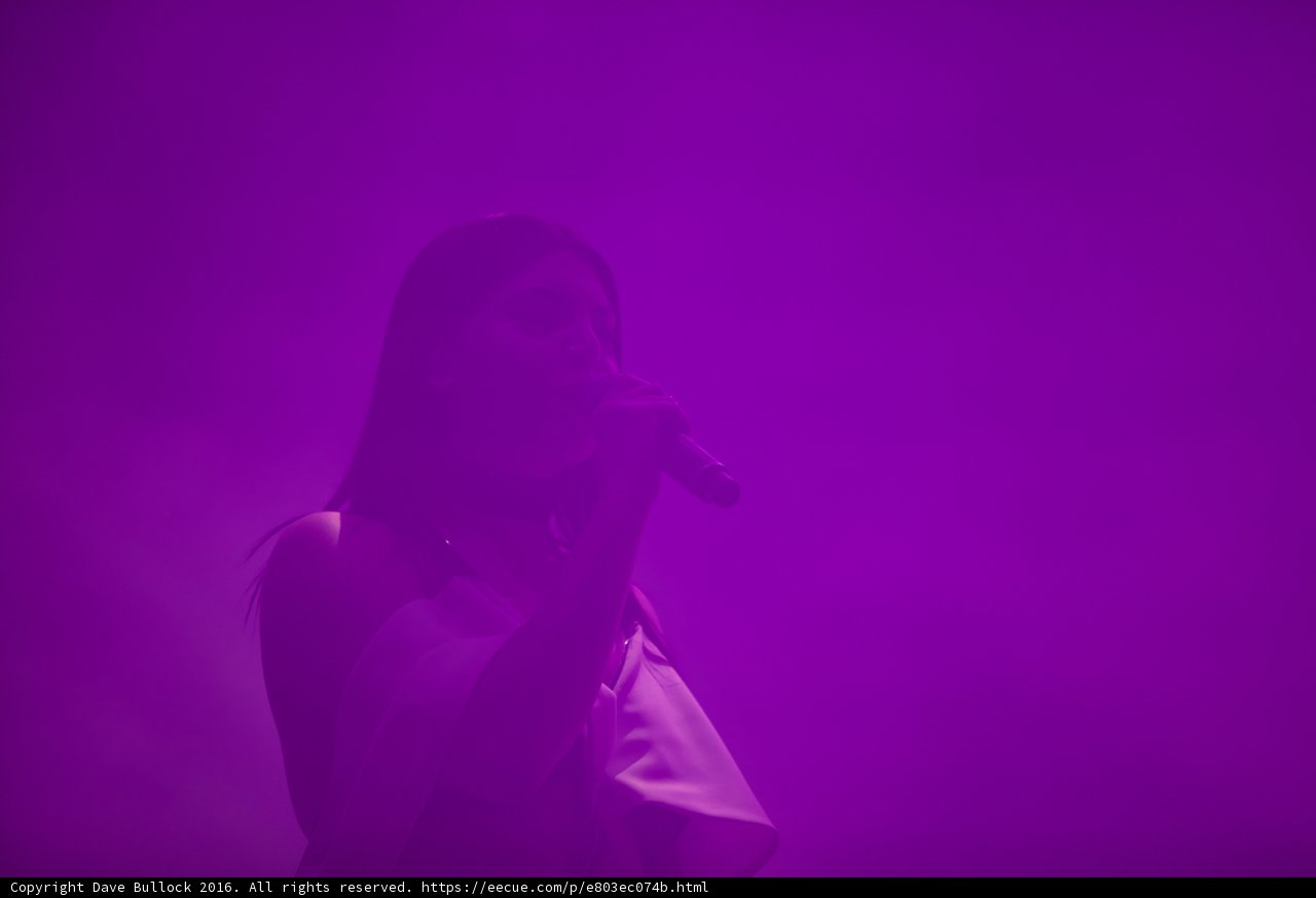 Purple Haze at Coachella